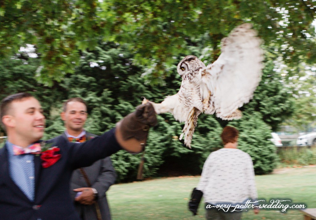Owl ring bearer at ceremony